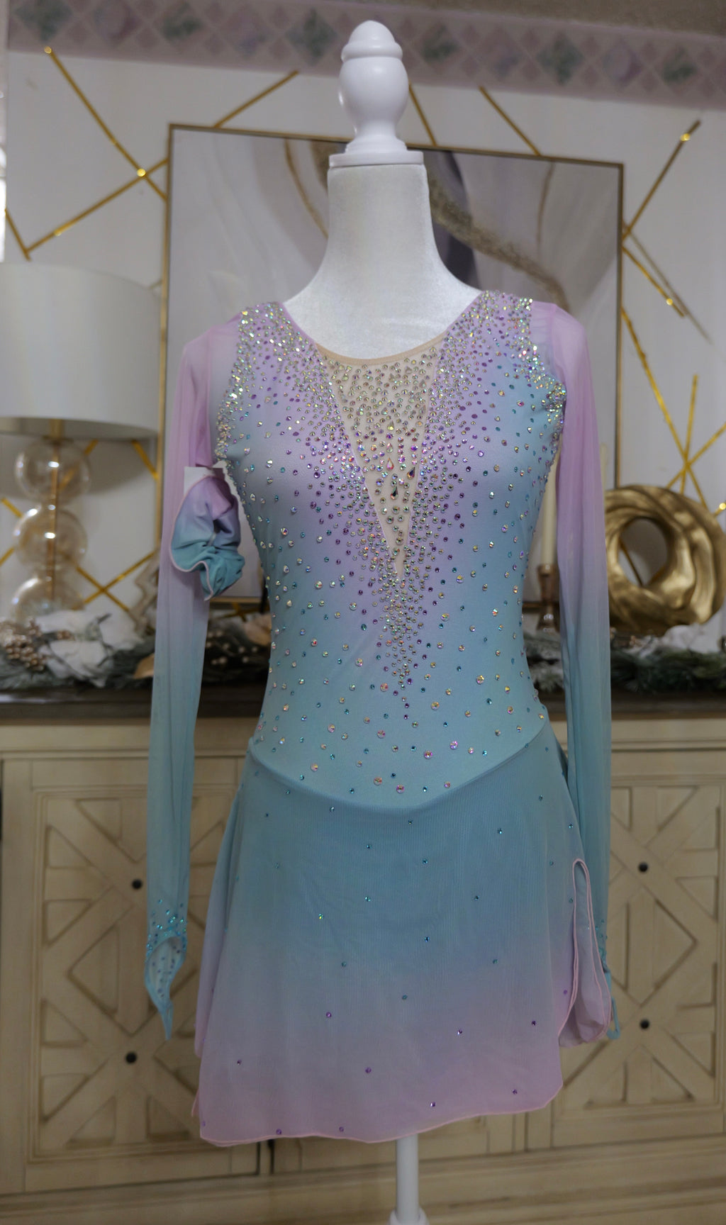 Adult Small Rose & Light Blue Ombre Dress