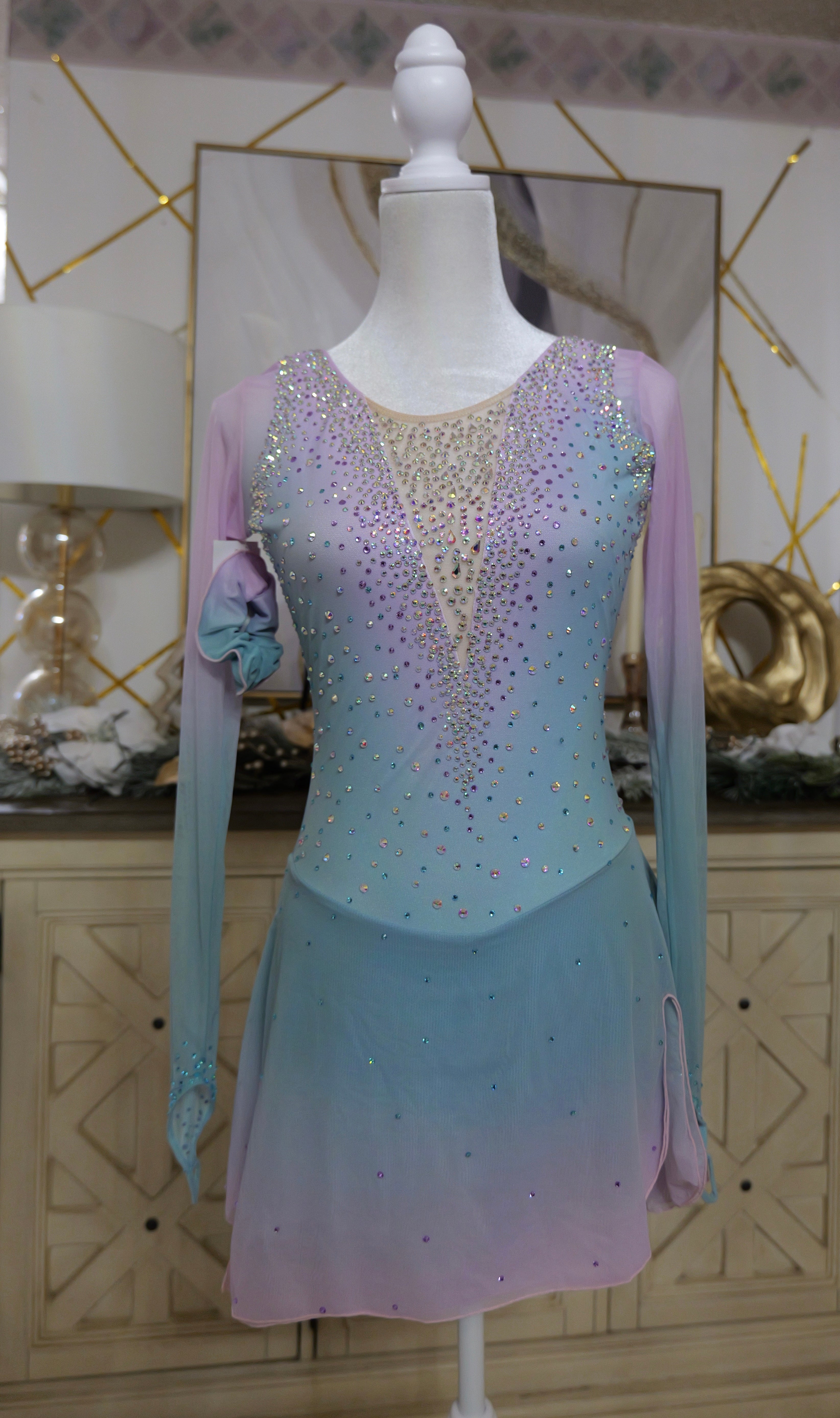 Adult Small Rose & Light Blue Ombre Dress