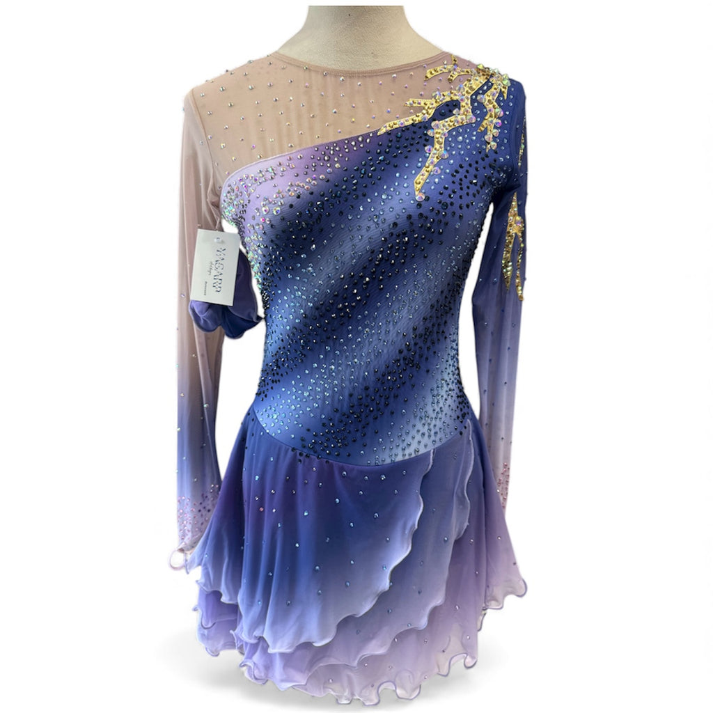 Figure Skating Dress Adult Medium Ombré